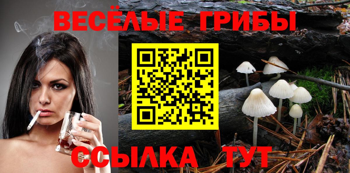 Галлюциногенные грибы Magic Shrooms Нижнекамск
