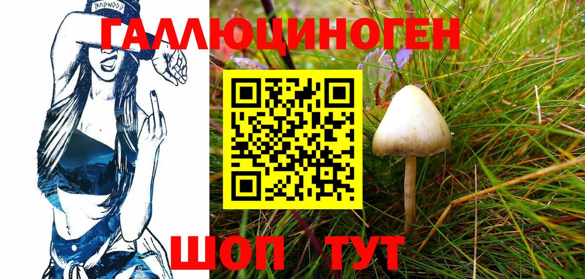 Галлюциногенные грибы Psilocybe  купить наркотики сайты  Нижнекамск  Вход с VPN 